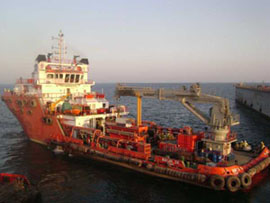 marineaa
